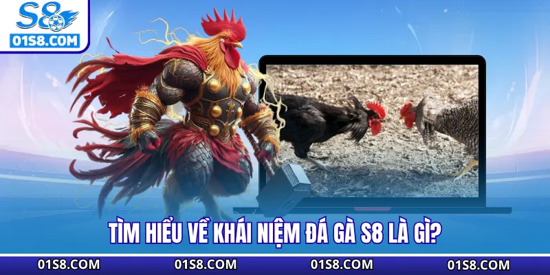 Tìm hiểu về khái niệm đá gà S8 là gì?